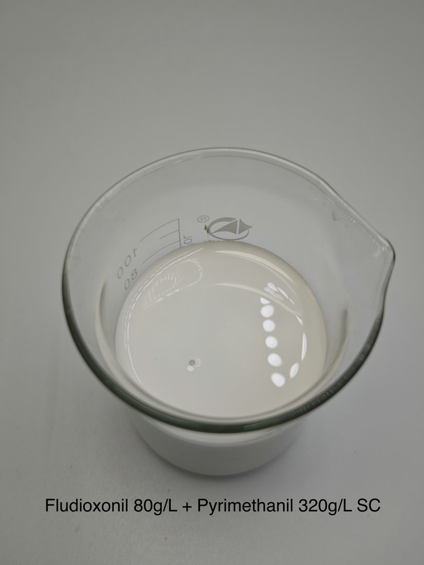 Fludioxonil 80g/L + Pyrimethanil 320g/L SC